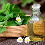 pixabay sursa foto jpg