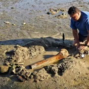 oase mamut Dunăre Bulgaria 03 FOTO X GeorgiGotev jpg