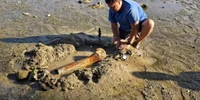 oase mamut Dunăre Bulgaria 03 FOTO X GeorgiGotev jpg