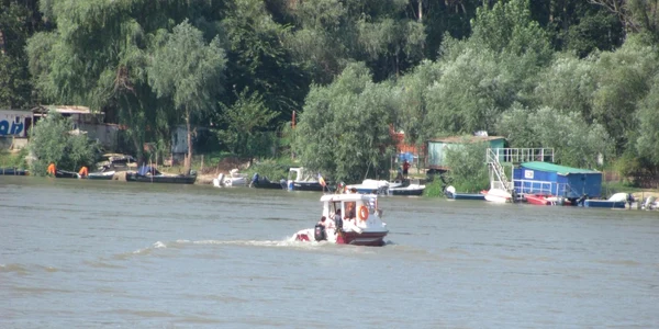 calarasi borcea