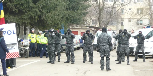 mascati tulcea