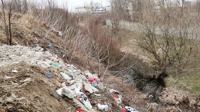 gunoaie la marginea cimitirului strehareţ din slatina - foto alina mitran