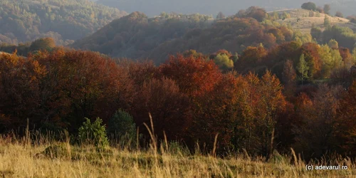 Ţinutul Pădurenilor. Drumul spre Vadu Dobrii. FOTO