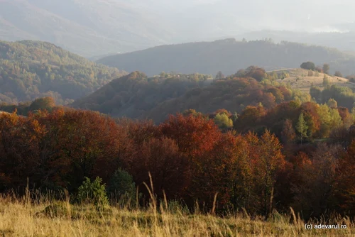 Ţinutul Pădurenilor. Drumul spre Vadu Dobrii. FOTO