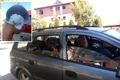 rottweileri 1 jpeg