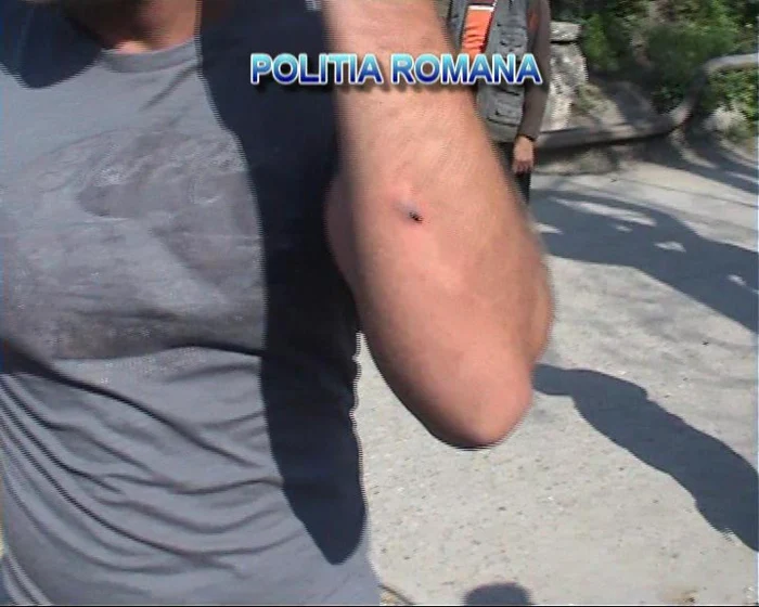 Şase persoane au fost arestate preventiv de către Judecătoria Reşiţa