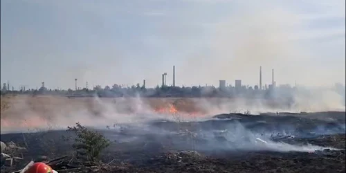 incendiu de vegetație prahova FOTO CAPTURA ECRAN FACEBOOK jpg