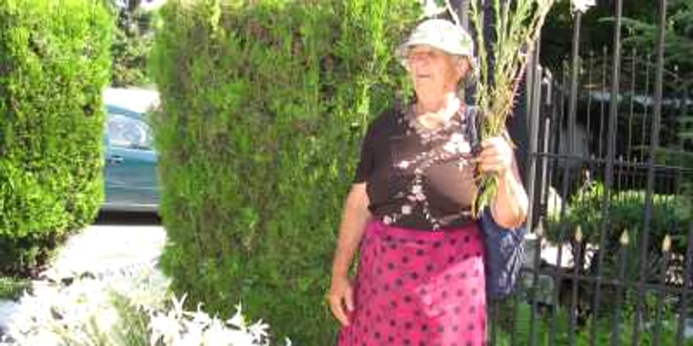 Crinii s-au vândut ca pâinea caldă