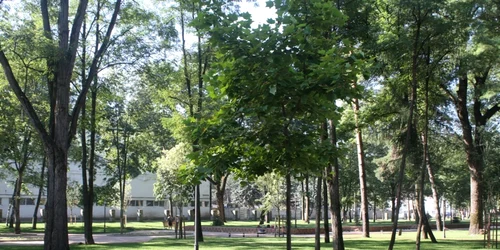 parcul municipal bistrita 
