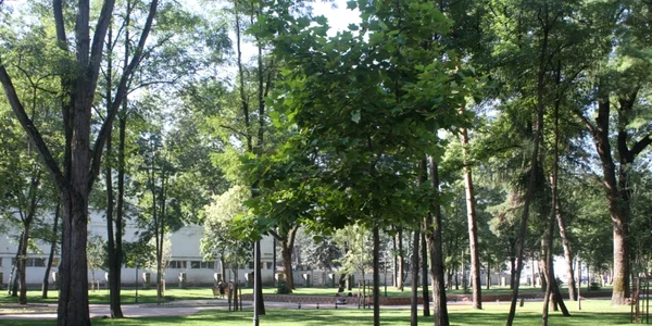 parcul municipal bistrita 