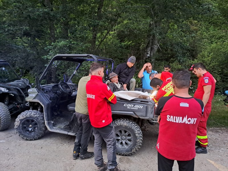 Cioban mușcat de un urs. Salvamont: „Animalul - cunoscut ca foarte agresiv - încă este în zonă”
