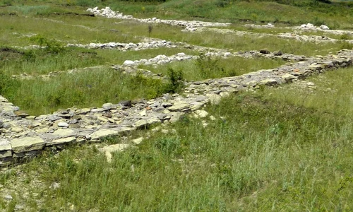 Ce suprafață avea castrul roman de la Călugăreni, județul Mureș  jpeg