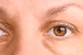 shutterstock 2591327663 jpg
