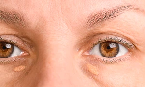 shutterstock 2591327663 jpg