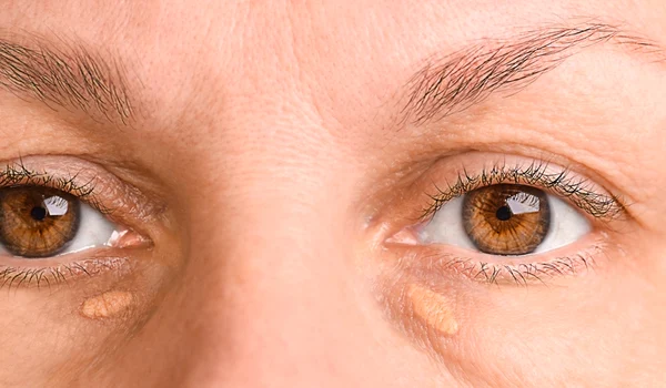 shutterstock 2591327663 jpg