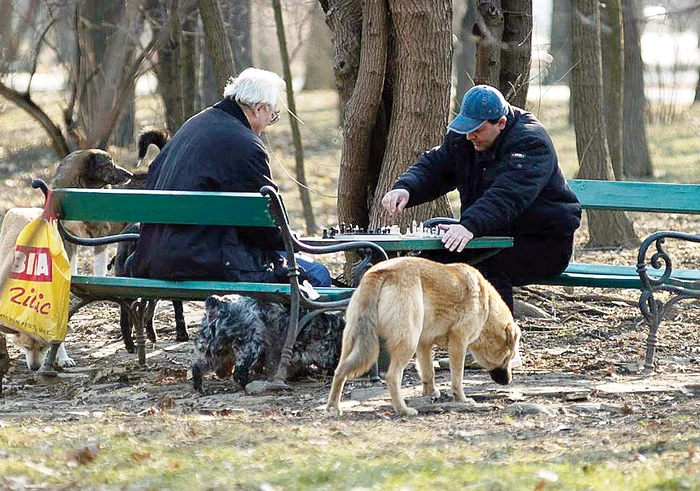 
    Românii au o speranţă de viaţă medie de 75 de ani  şi sunt în coada listei în Uniunea Europeană  