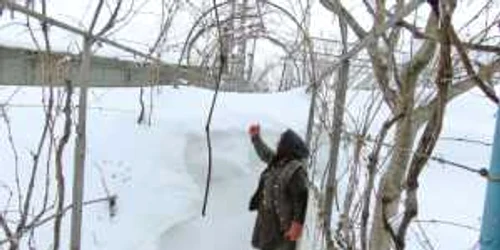 Filofteia Tomoilă nu a putut să iasă din casă timp de trei zile din cauza nămeţilor  