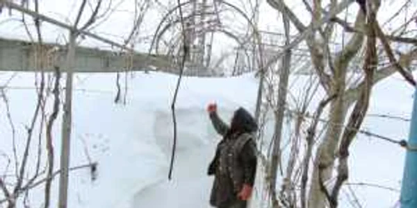 Filofteia Tomoilă nu a putut să iasă din casă timp de trei zile din cauza nămeţilor  