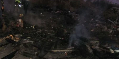 Caii au ars de vii în grajd