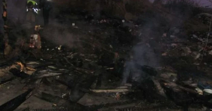 Caii au ars de vii în grajd