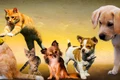 animals 2222007 1280 jpg