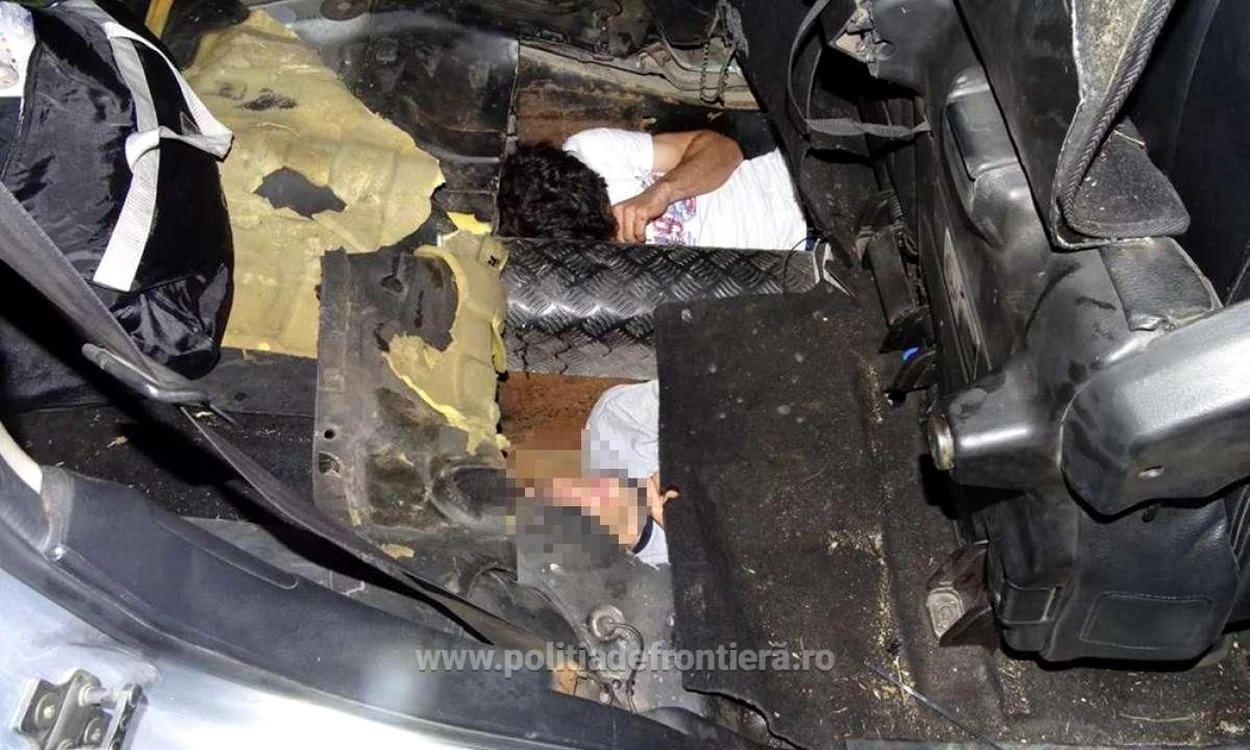 Cei doi sirieni, descoperiţi în podeaua unui autoturism înmatriculat în Bulgaria FOTO IGPF