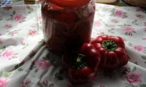 CLIIMA20121001 0031 1 jpeg
