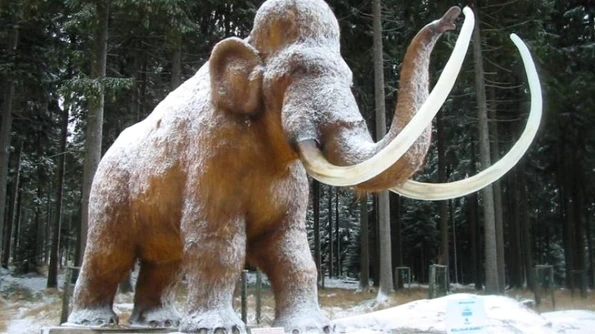 Două fosile de mamut au fost descoperite în albia râului Moldova jpeg