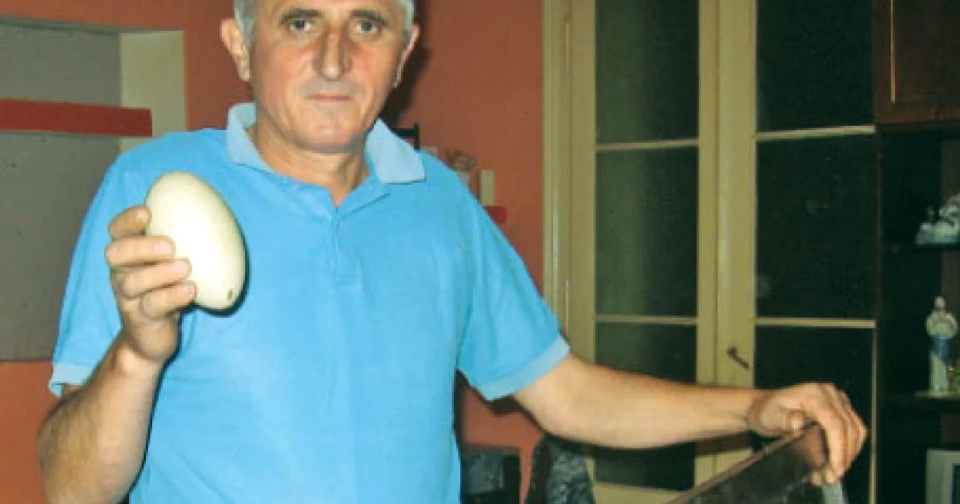 Dorin Lupean