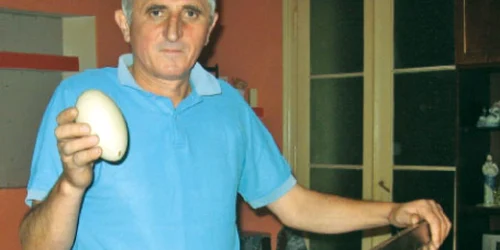 Dorin Lupean