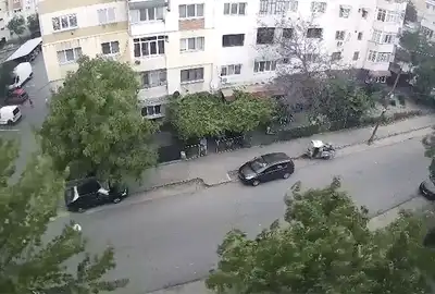 Furtuna gif