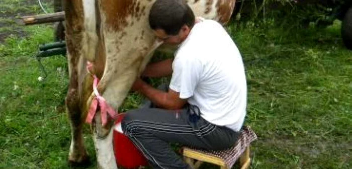 Slatina:Crescătorii de animale pot primi credite garantate de stat