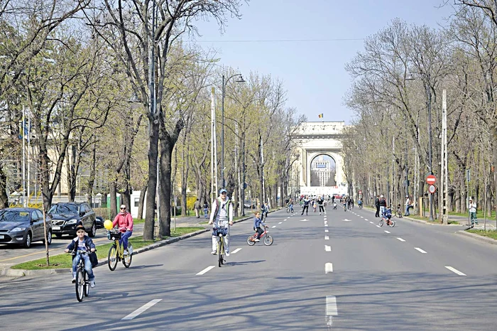 Kiseleff-ul, o arteră populată şi iubită de biciclişti