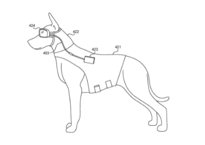 Câine purtând ochelari prevăzuţi cu un dispozitiv de realitate augmentată FOTO via Business Insider 