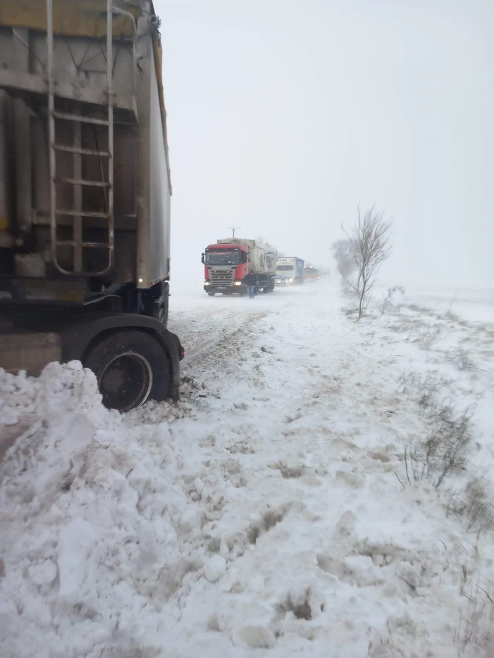 Industria care prosperă când vine iarna. Cine pierde și cine câștigă de pe urma gerului și viscolului
