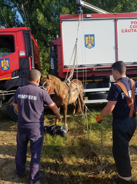 Cabalina a fost scoasă din groapă de pompieri FOTO ISU Ialomiţa