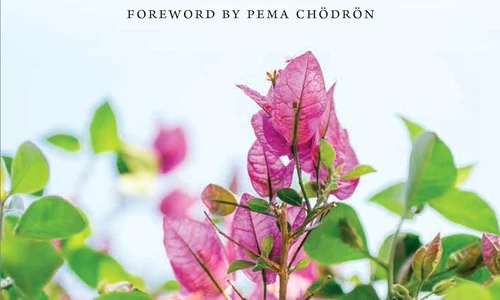 71nUtsFE3sL  SL1500  jpg