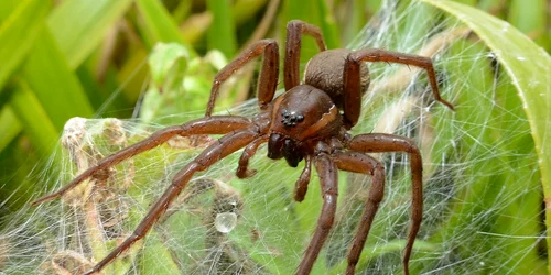 464968941 961230112717621 7049720679080725458 n jpg