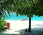 Andreea Banica in Maldive (6) jpeg