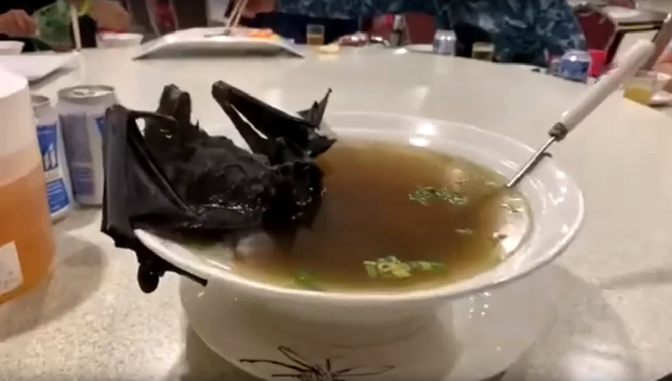 Supa de liliac este o delicatesă în Wuhan