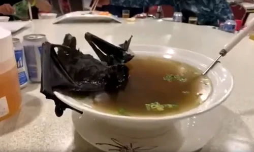 untitled 2 jpeg