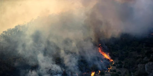 Incendiu Turcia FOTO EPA-EFE