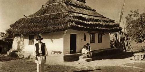 saraci