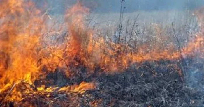 Anul acesta s-au produs mai puţine incendii de vegetaţie
