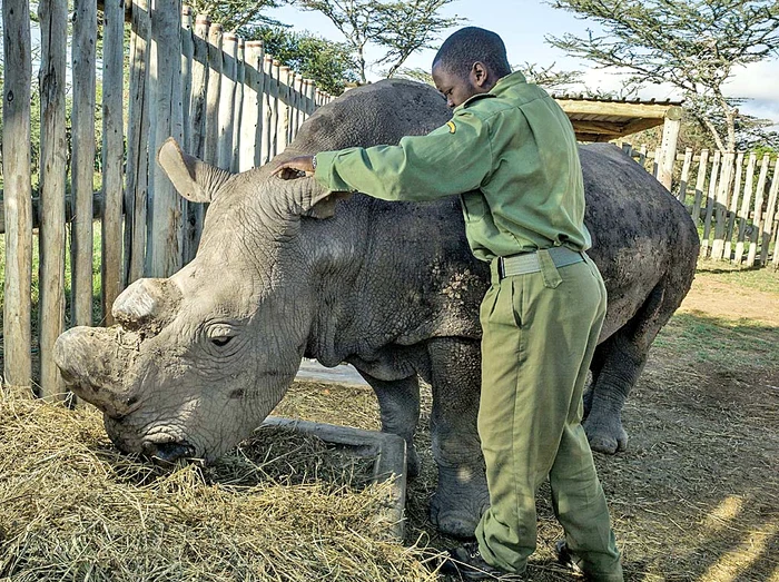 Sudan e ţesălat…