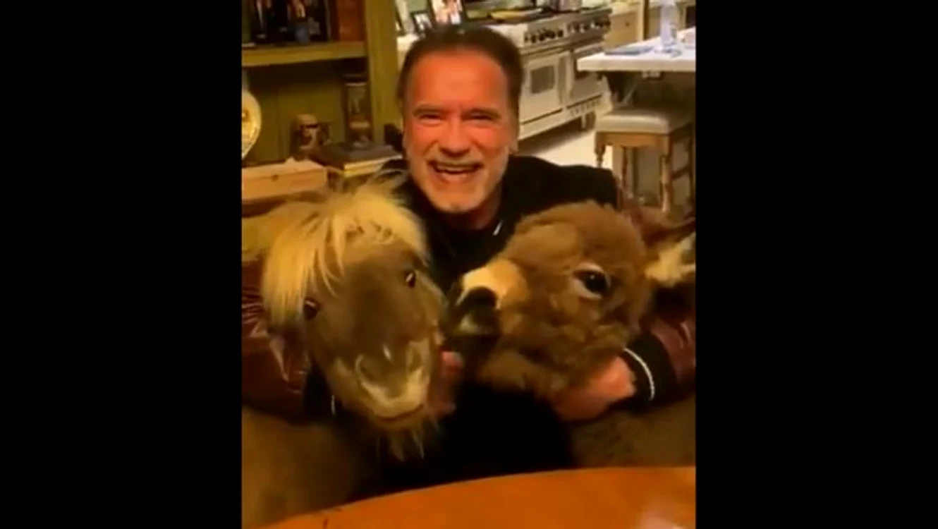 
    Arnold Schwarzenegger își îndeamnă fanii să stea cât mai mult în casă în această perioadăFoto: Captură Video  