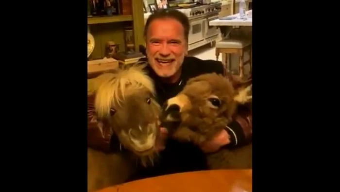 Arnold Schwarzenegger își îndeamnă fanii să stea cât mai mult în casă în această perioadăFoto: Captură Video