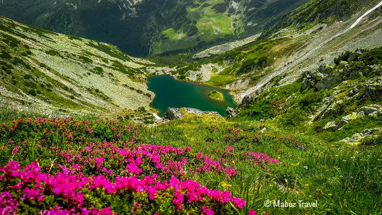 Tăul țapului din Retezat. Foto: Marius Popa. 