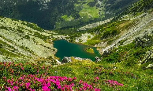 Parcul Național Retezat  Foto Marius Popa  mabuz Travel (10) jpg