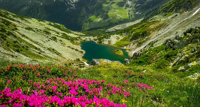 Cum a fost înființat Parcul Național Retezat / foto: arhiva Click!